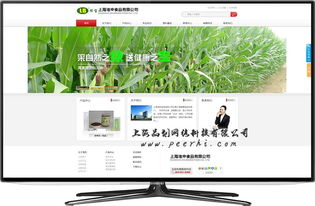 松江網(wǎng)站建設(shè)與山西網(wǎng)站發(fā)展 行業(yè)對比與專業(yè)服務(wù)解析